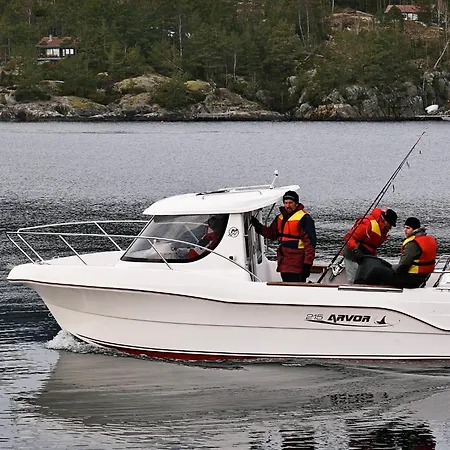 12 Person In Ferienhaus Jelsa